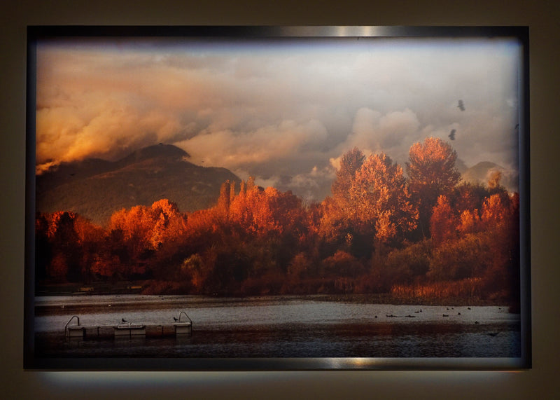 Trout Lake Vancouver / Framed / Edition of 1 / 48" x 70" / Archival Pigment Print