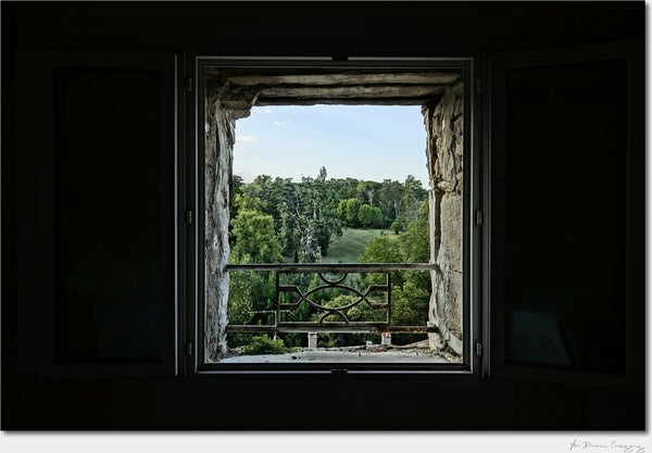 Window to Green / Archival Pigment Print