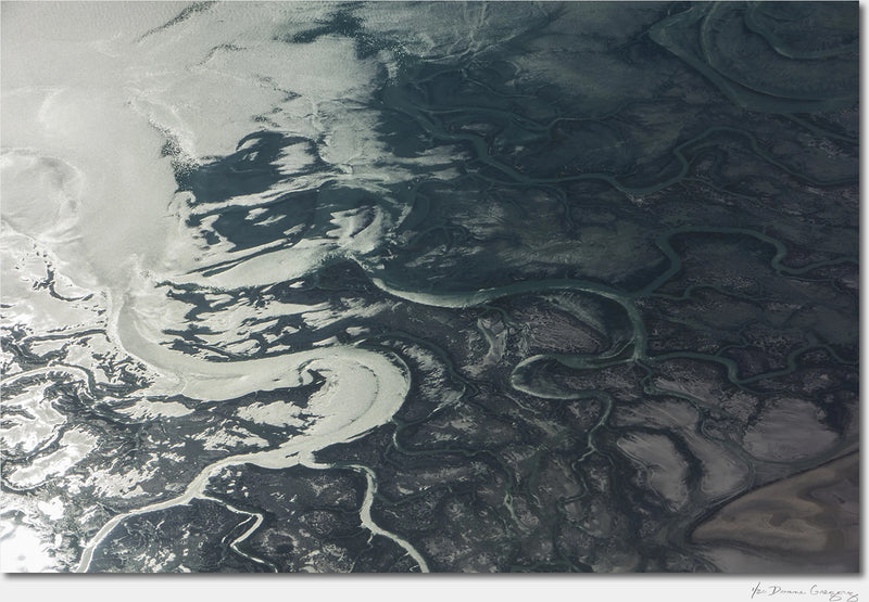Estuary, Colorado River / Archival Pigment Print