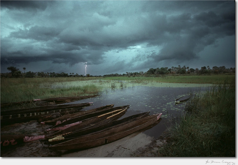 Okavango Delta, Botswana / Archival Pigment Print
